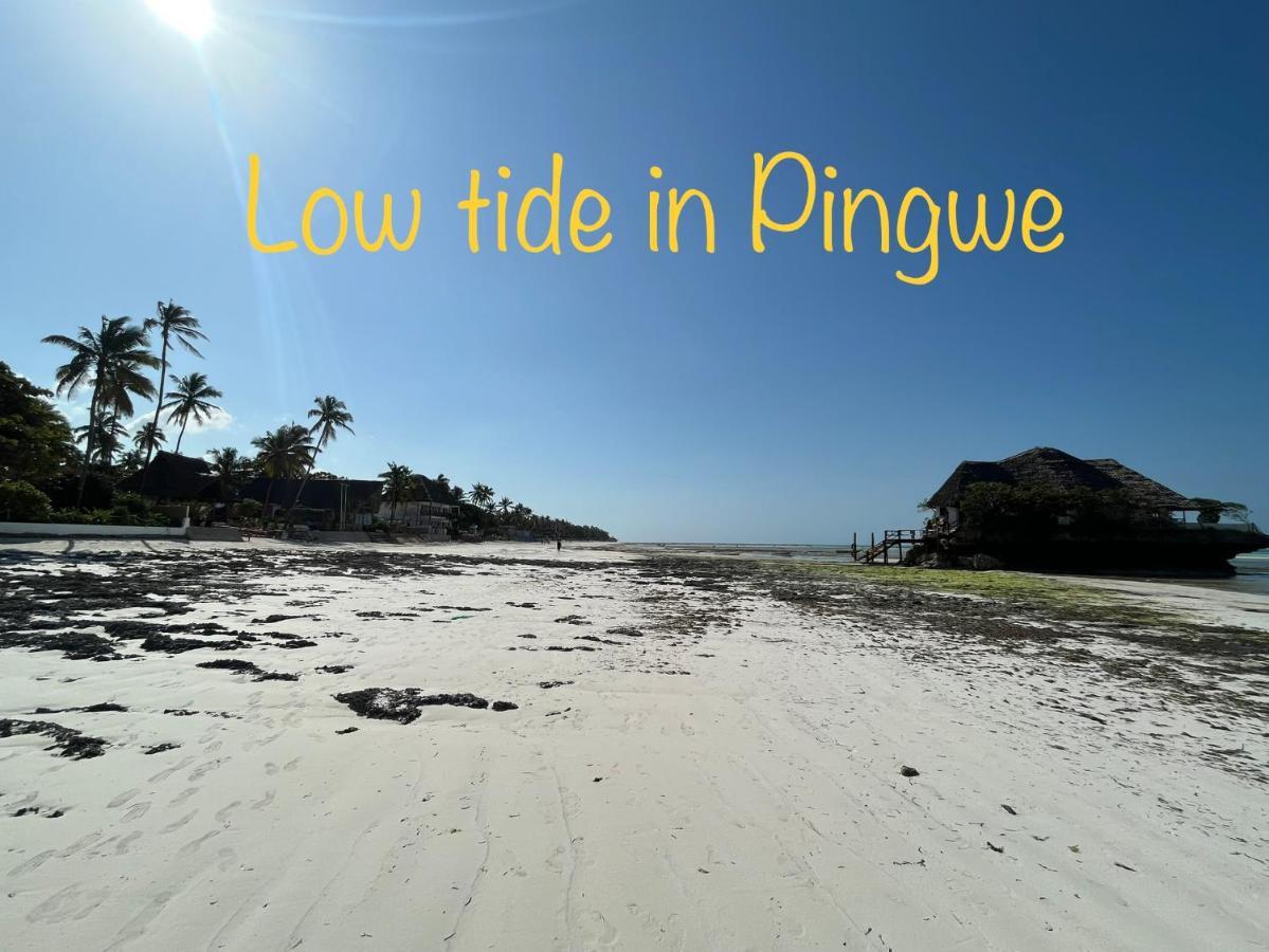Tropical Boutique Hotel & Resto Pingwe Bagian luar foto